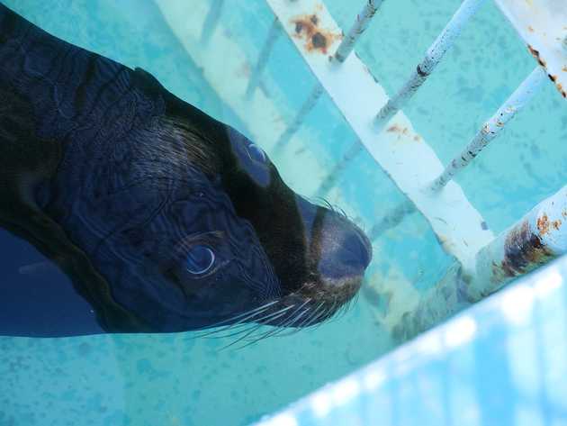 動物園でパシャリ